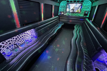 Eugene Limo Bus Interior